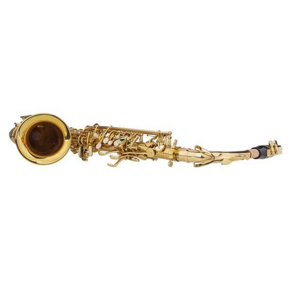 mlnshops Alto Saxophone Gold Finish with Accessories Set