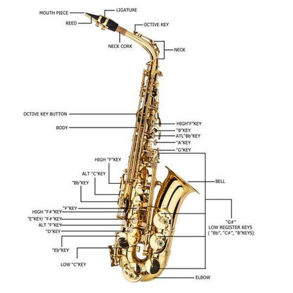 mlnshops Alto Saxophone Gold Finish with Accessories Set - MLNshops