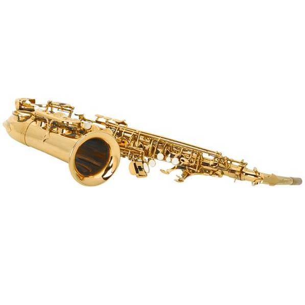 mlnshops Alto Saxophone Gold Finish with Accessories Set