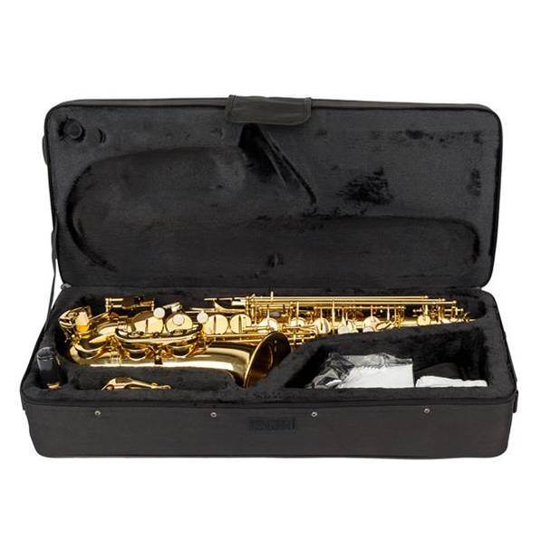 mlnshops Alto Saxophone Gold Finish with Accessories Set