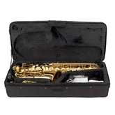 mlnshops Alto Saxophone Gold Finish with Accessories Set