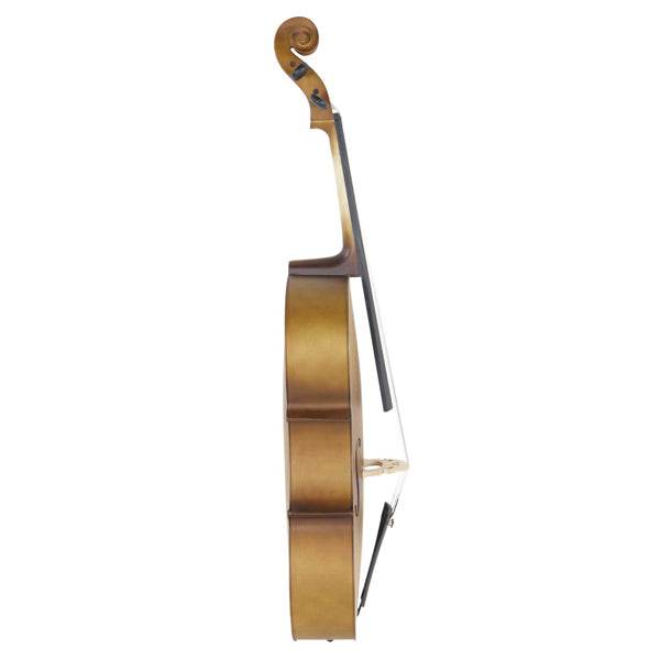 mlnshops full size acoustic cello for sale - with Bow