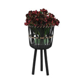 MLNshops Bamboo Planters Set for Stylish Home Decor