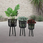 MLNshops Bamboo Planters Set for Stylish Home Decor