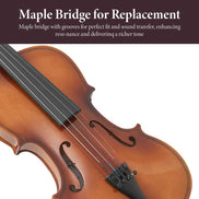 Handmade violin showcasing craftsmanship and wood details