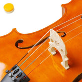 MLNshops Beginner Natural Cello Set with Bow