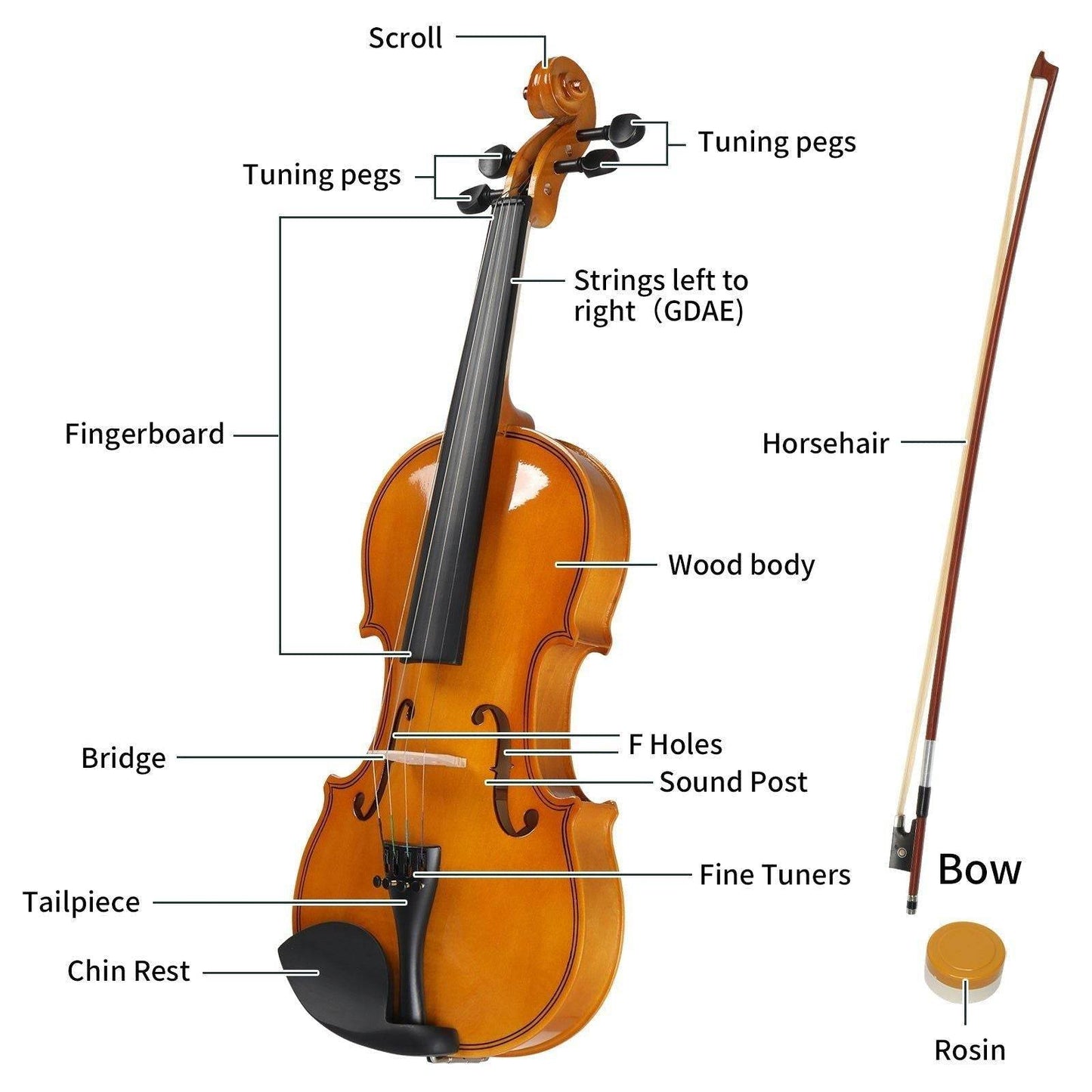 MLNshops Beginner Violin Set for Adults with Case