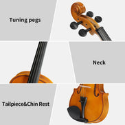 MLNshops Beginner Violin Set for Adults with Case