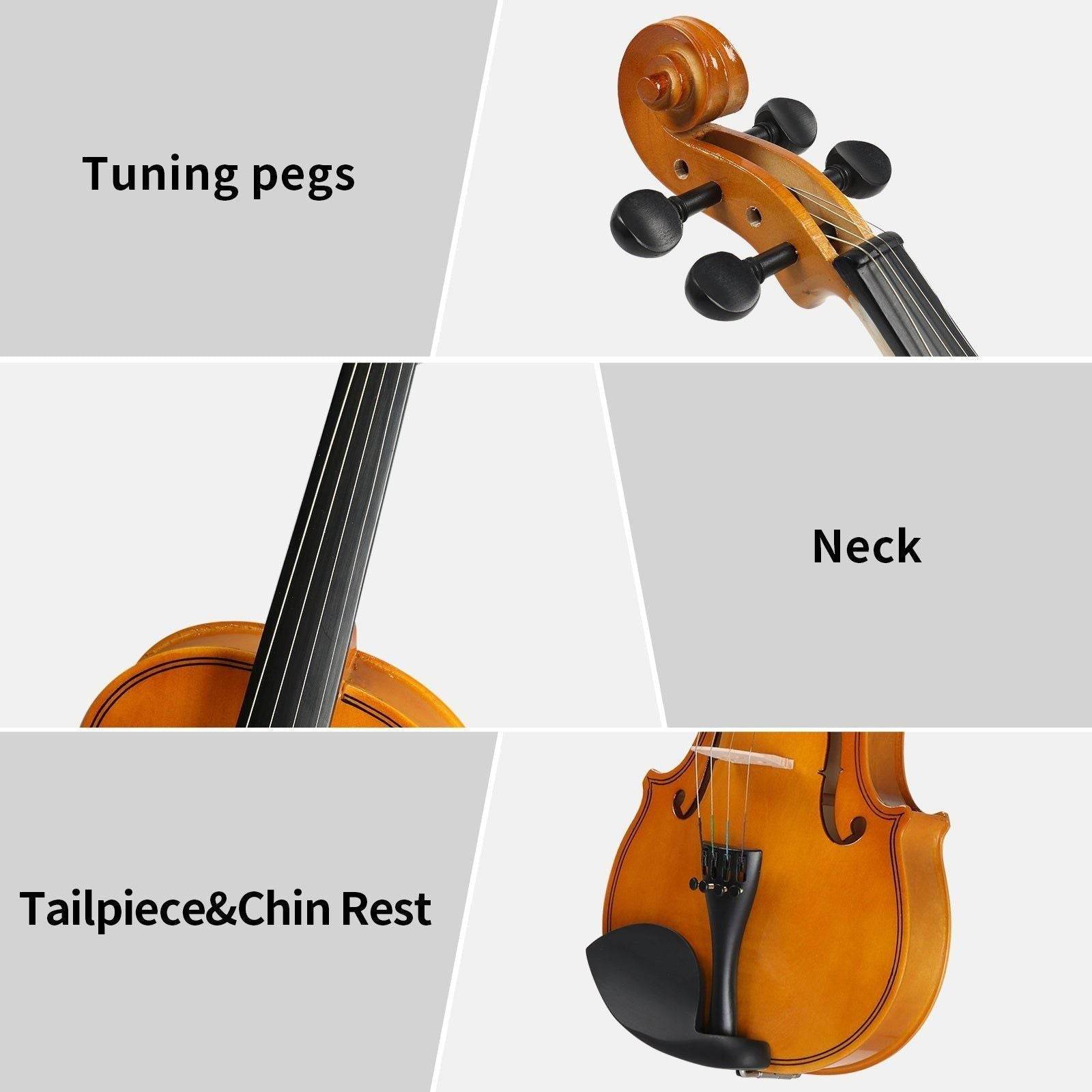 MLNshops Beginner Violin Set for Adults with Case