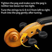 MLNshops Beginner Violin Set for Adults with Case