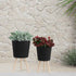 MLNshops Black Planter with Wood Legs - Modern Plant Stand Default