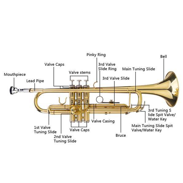 mlnshops Drop B Trumpet for Beginners - Professional Brass