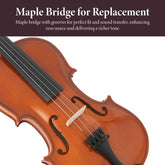 Violin headstock with maple bridge and strings for replacement