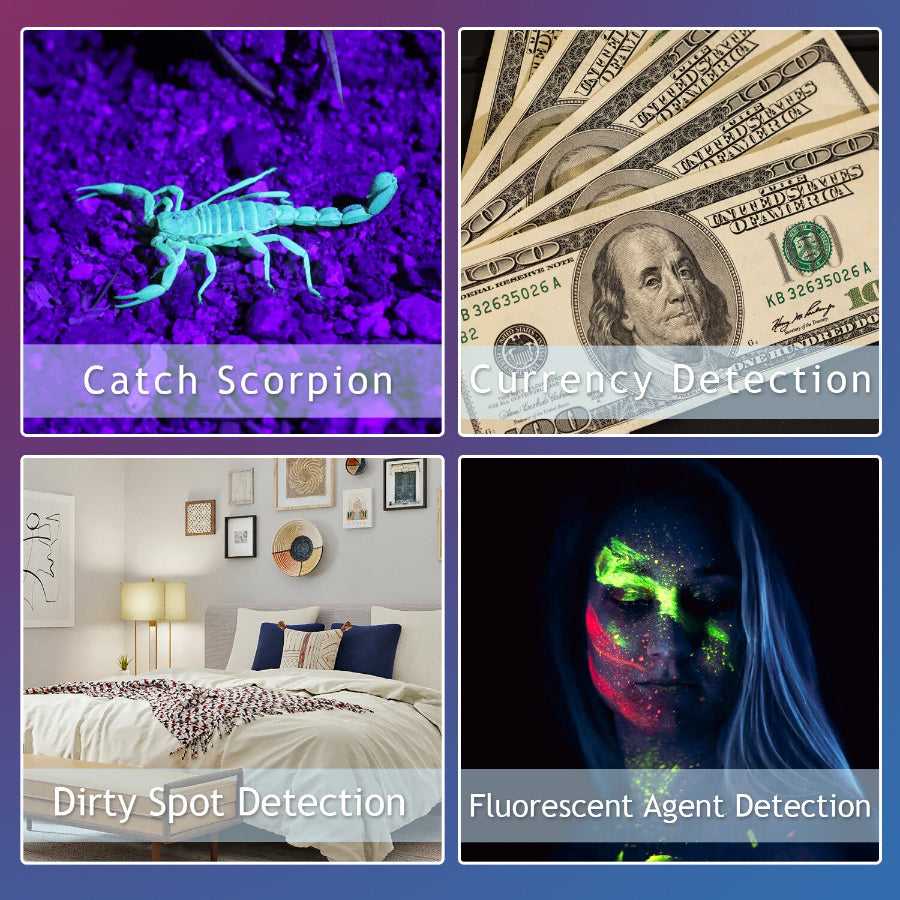LED UV Flashlight Detection Lamp used for scorpion spotting, currency verification, stain detection, and fluorescent agent inspection.