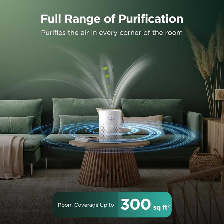 Air Purifiers for Home Bedroom H13 True HEPA Air Filter, Quiet Air Cleaner,Portable Small Air Purifier for Office, Living Room
