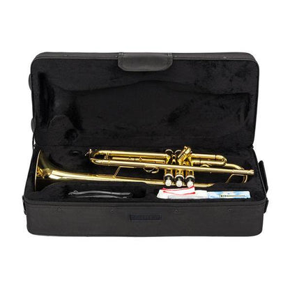 mlnshops Drop B Trumpet for Beginners - Professional Brass - MLNshops