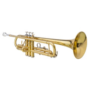 mlnshops Drop B Trumpet for Beginners - Professional Brass Default Title