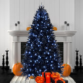 27286086
