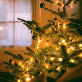 Christmas tree in a cozy room lit with warm LED string lights