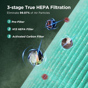 Air Purifiers for Home Bedroom H13 True HEPA Air Filter, Quiet Air Cleaner,Portable Small Air Purifier for Office, Living Room