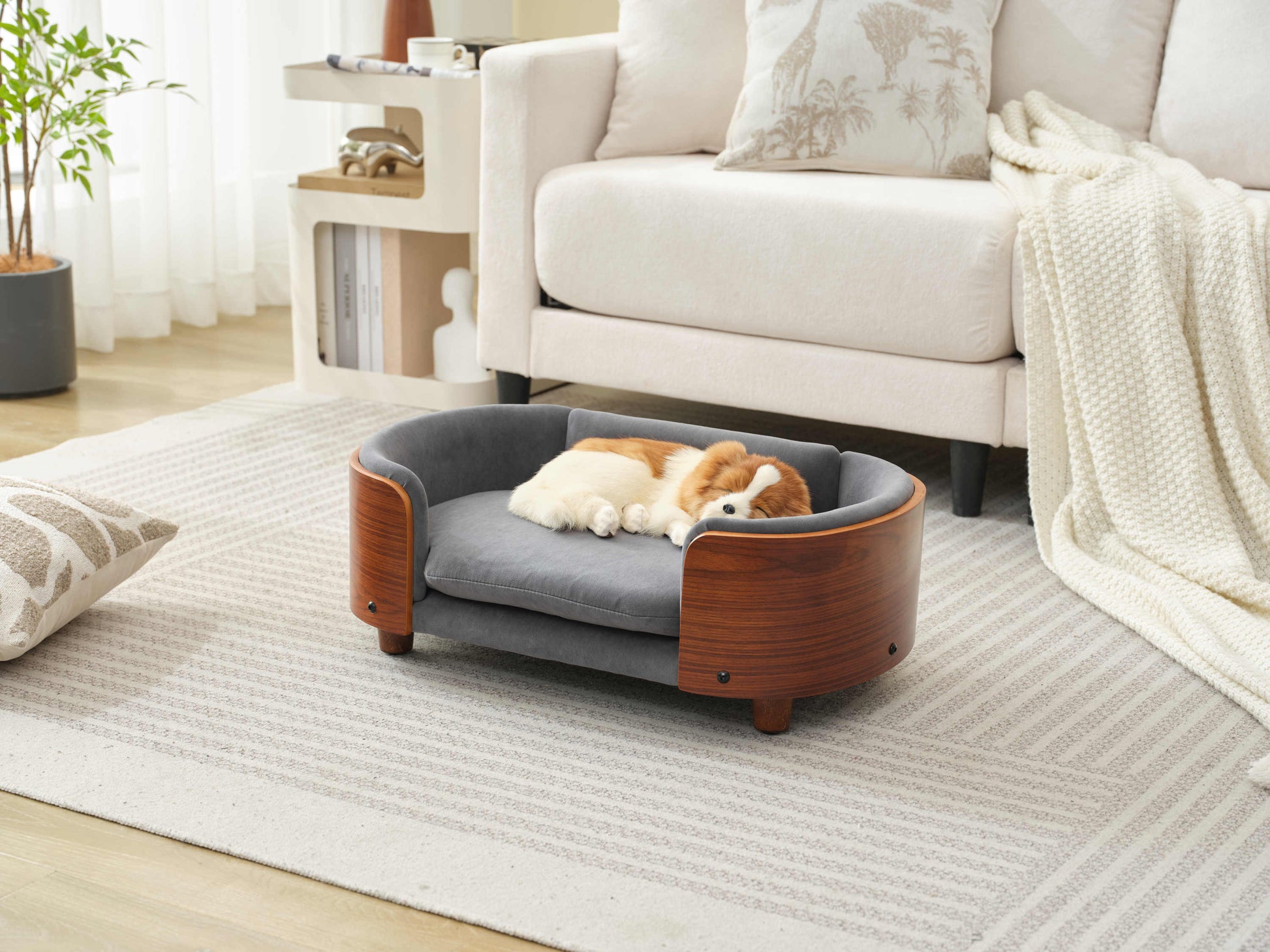 Small dog resting on Scandinavian Elevated Dog Bed with orthopedic velvet cushion and solid wood frame in cozy room.