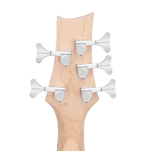 mlnshops 5 string electric bass guitar kit with Amp & Bag