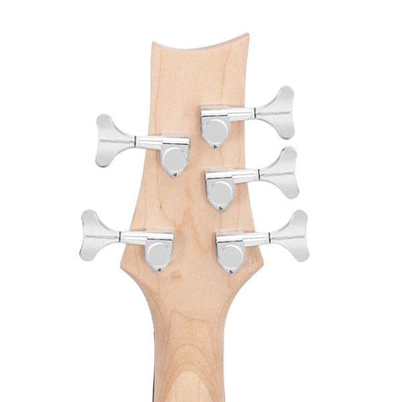 mlnshops 5 string electric bass guitar kit with Amp & Bag