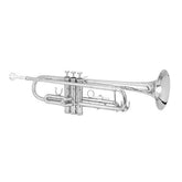 mlnshops Silver Bb Trumpet for Beginners with Carry Case