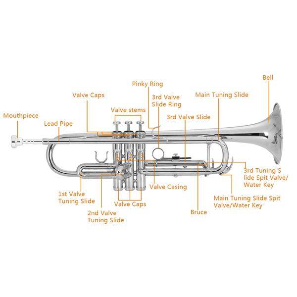 mlnshops Silver Bb Trumpet for Beginners with Carry Case