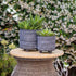 MLNshops Footed Planter Stand for Indoor Outdoor Plant Pots
