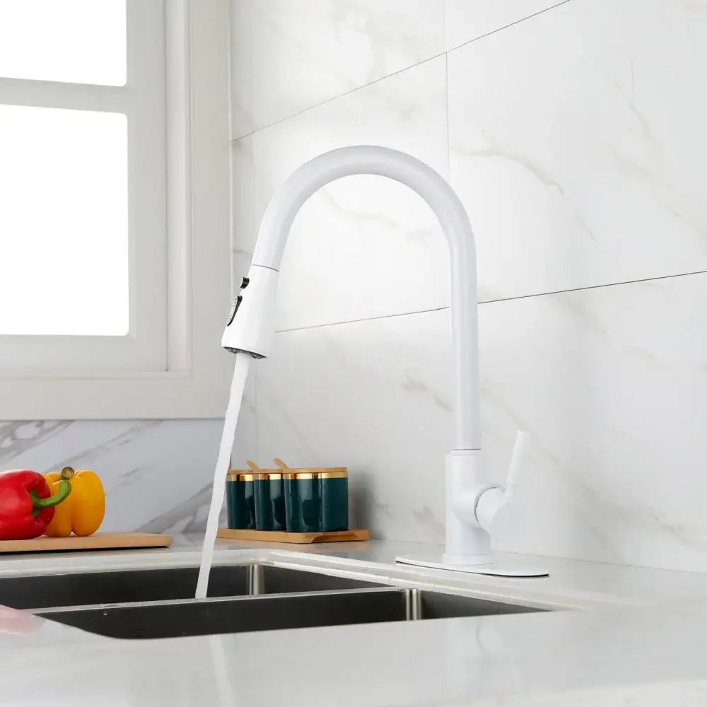 Kitchen Faucet with Pull Out Sprayer MLNshops]