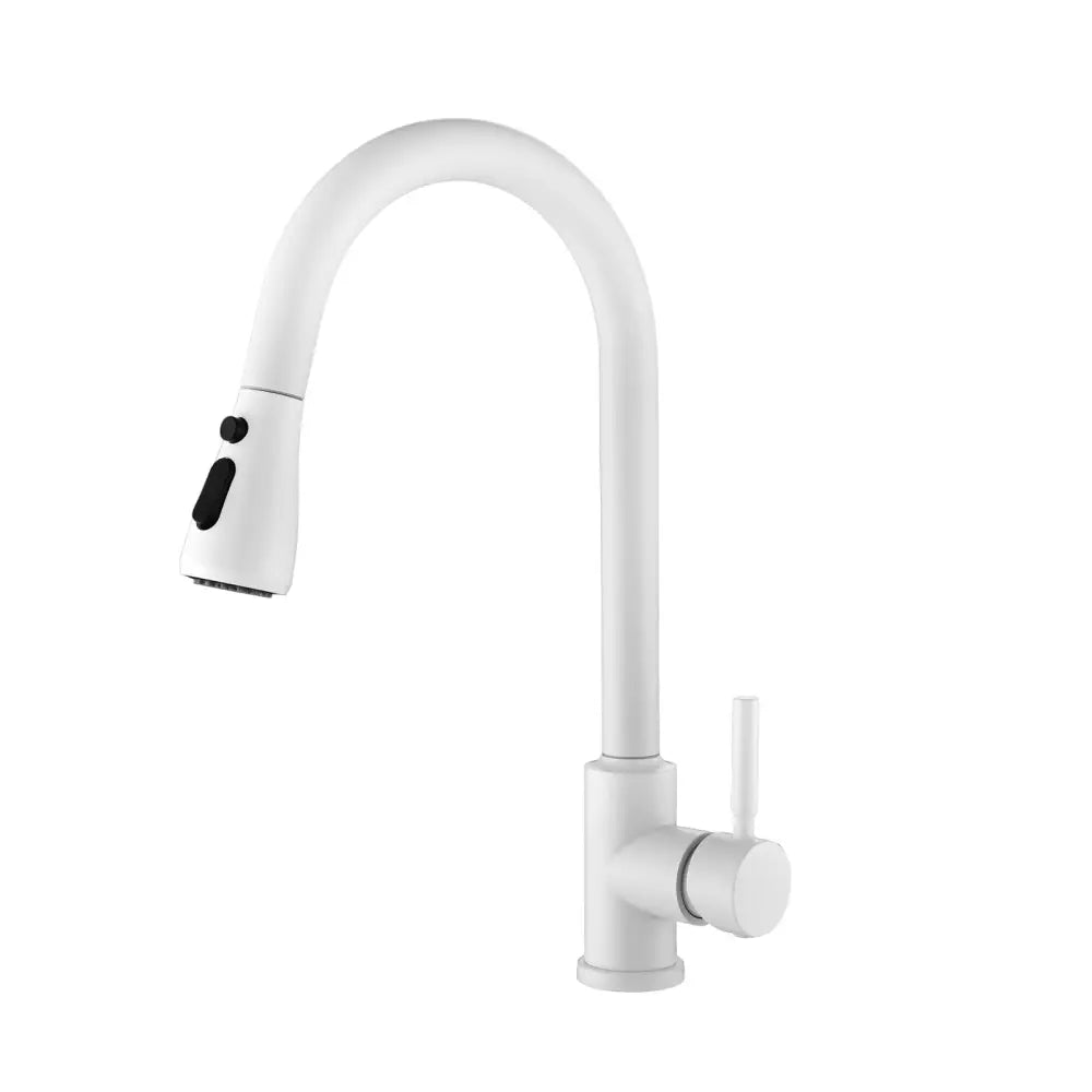 Kitchen Faucet with Pull Out Sprayer MLNshops]