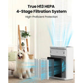 MLNshops Lampick Large Room Air Purifier for Clean Air