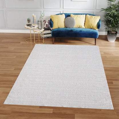 Milano Collection Pale Celadon Woven Area Rug MLNshops]