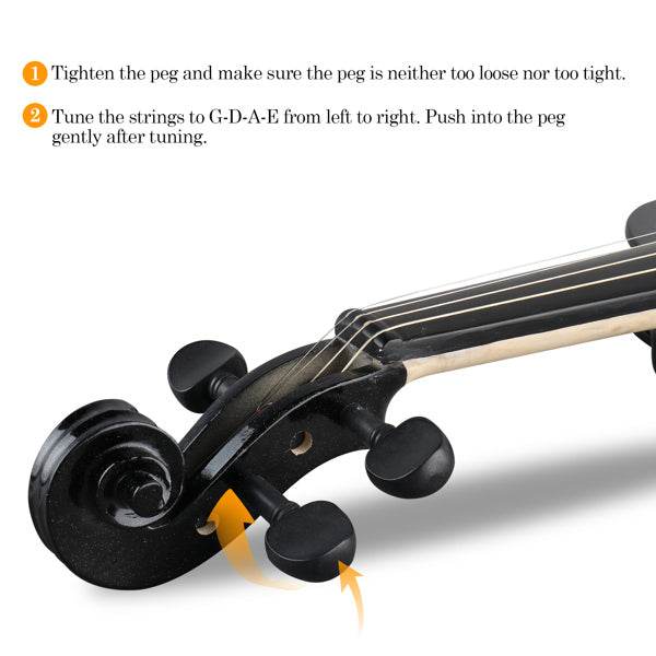 MLNshops best affordable electric violin set - Complete Kit