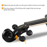 MLNshops best affordable electric violin set - Complete Kit
