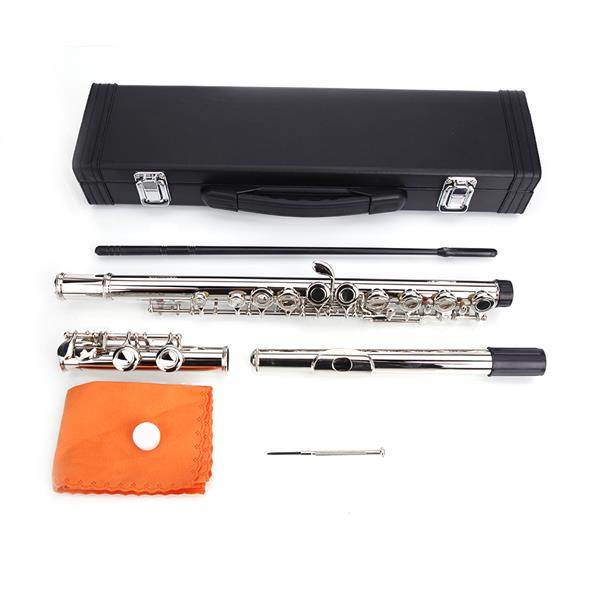 mlnshops Pink Concert Band Flute with Carrying Case