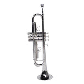 mlnshops Nickel Plated Trumpet Set with Durable Finish