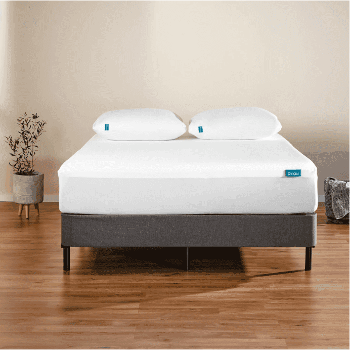 MLNshops OkiOki King Mattress Protector for Ultimate Comfort Default