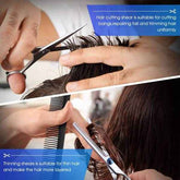 Professional Hair Cutting Scissors Set with Case