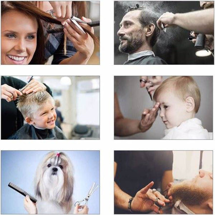 Professional Hair Cutting Scissors Set with Case