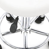 mlnshops Round Shape Beauty Stool for Salons with Backrest