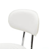 mlnshops Round Shape Beauty Stool for Salons with Backrest