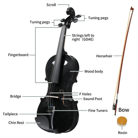MLNshops Full Size Violin Set for Beginners