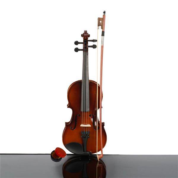 mlnshops Violin Starter Kit for Children with Case & Bow