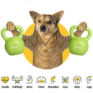 MLNshops Weight Lifting Equipment for Beginners 15LB Kettlebell