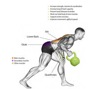 MLNshops Weight Lifting Equipment for Beginners 15LB Kettlebell