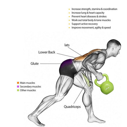 MLNshops Weight Lifting Equipment for Beginners 15LB Kettlebell