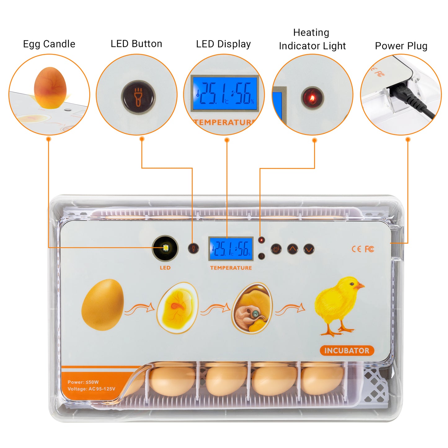 Egg Incubator, 9-20 Eggs Fully Automatic Poultry Hatcher Machine with Temperature Display, Candler, Temperature Control & Turner