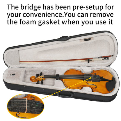 Full Size 4/4 Violin Set for Adults Beginners Students with Hard Case, Violin Bow, Shoulder Rest, Rosin, Extra Strings and Sordine